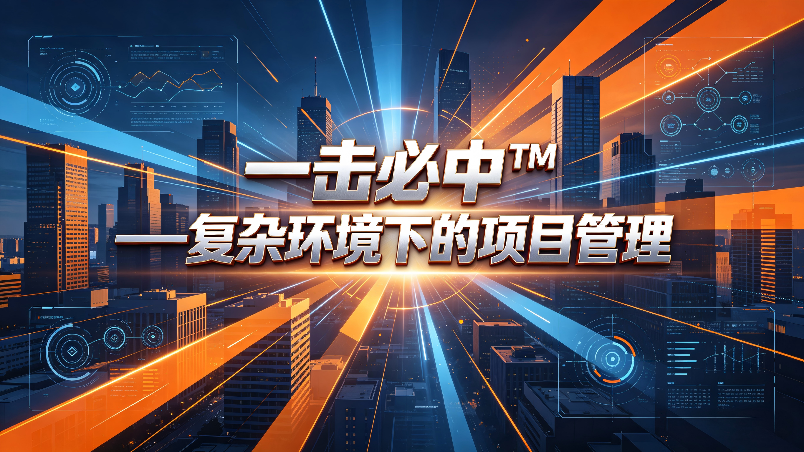 《一击必中™——复杂环境下的项目管理》