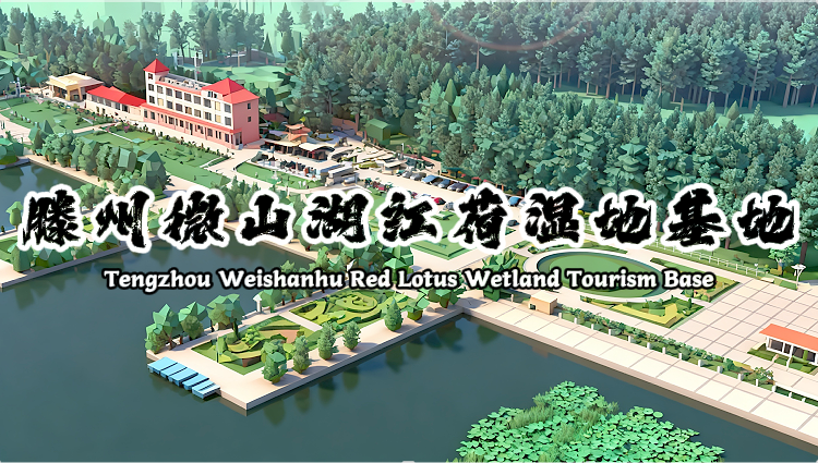 微山湖红荷湿地基地