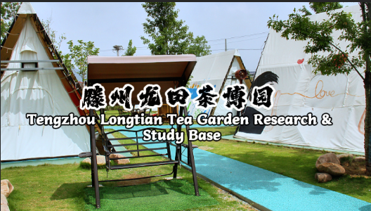 滕阳龙田茶博园基地