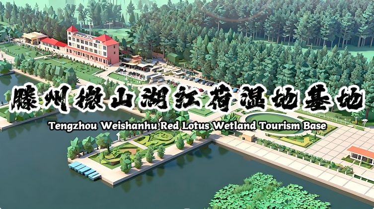 滕州微山湖红荷湿地基地